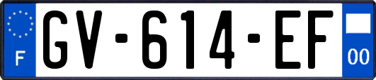 GV-614-EF