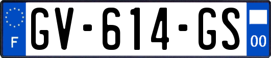 GV-614-GS