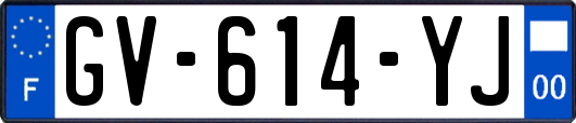GV-614-YJ
