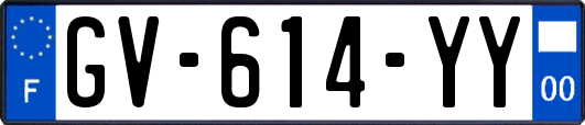 GV-614-YY