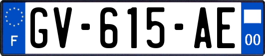 GV-615-AE