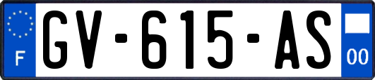 GV-615-AS