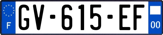 GV-615-EF