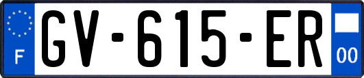 GV-615-ER