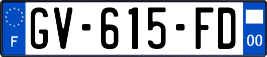 GV-615-FD