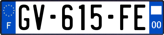 GV-615-FE