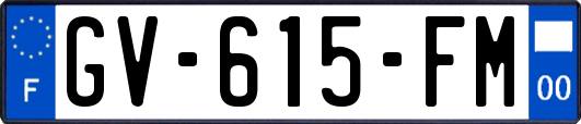 GV-615-FM