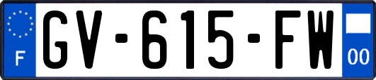 GV-615-FW