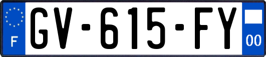 GV-615-FY