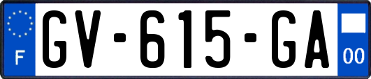 GV-615-GA