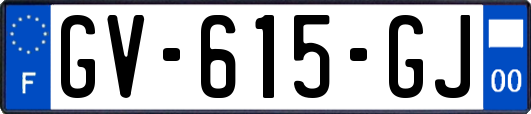 GV-615-GJ