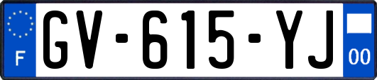 GV-615-YJ