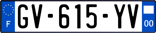 GV-615-YV