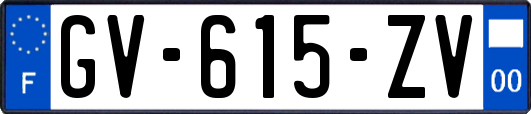 GV-615-ZV