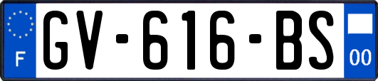 GV-616-BS