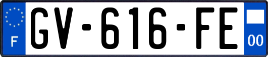 GV-616-FE