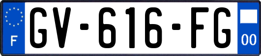 GV-616-FG