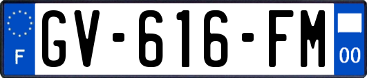 GV-616-FM
