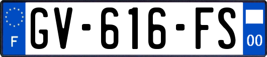 GV-616-FS