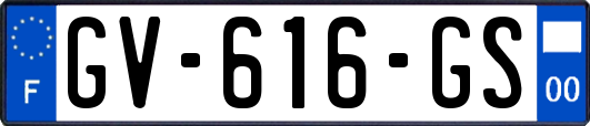GV-616-GS