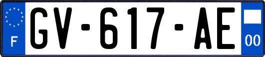 GV-617-AE