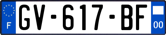 GV-617-BF