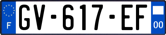 GV-617-EF