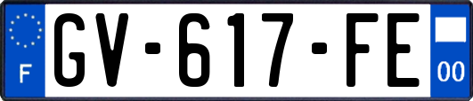 GV-617-FE