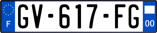 GV-617-FG
