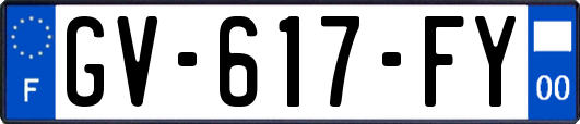 GV-617-FY