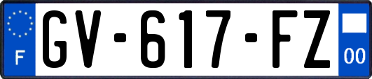 GV-617-FZ
