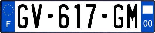 GV-617-GM