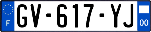 GV-617-YJ