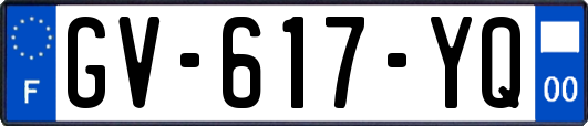 GV-617-YQ