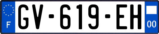 GV-619-EH