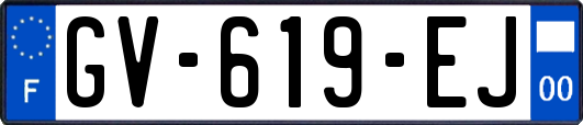 GV-619-EJ