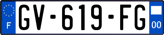 GV-619-FG