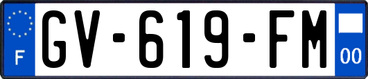 GV-619-FM