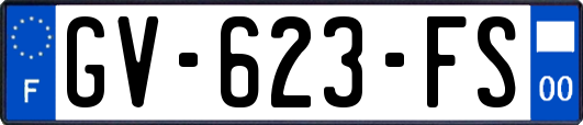 GV-623-FS