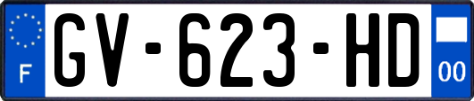 GV-623-HD