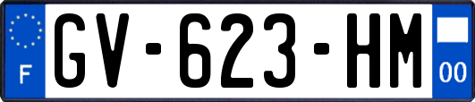 GV-623-HM