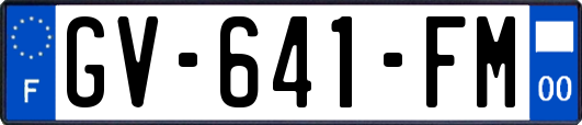 GV-641-FM