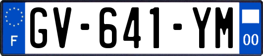 GV-641-YM