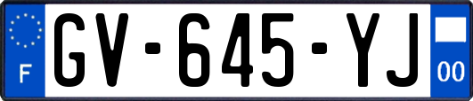 GV-645-YJ