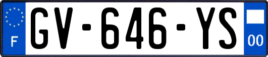 GV-646-YS