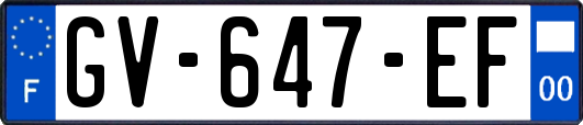 GV-647-EF