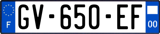 GV-650-EF