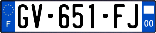 GV-651-FJ