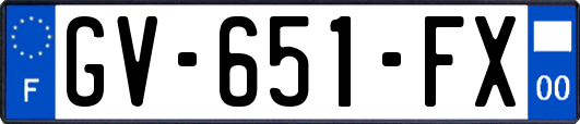 GV-651-FX