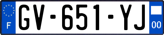 GV-651-YJ